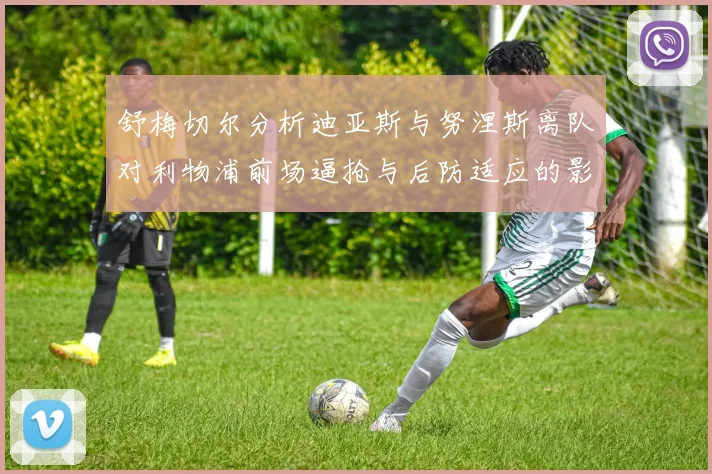 舒梅切尔分析迪亚斯与努涅斯离队对利物浦前场逼抢与后防适应的影响