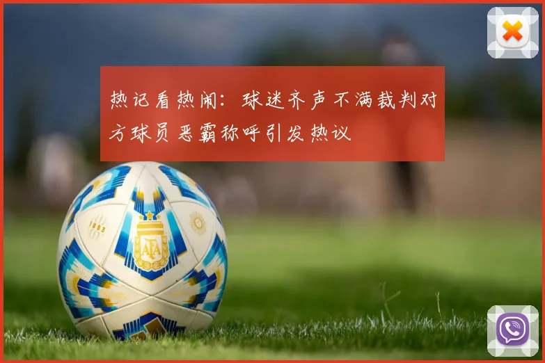 热记看热闹：球迷齐声不满裁判对方球员恶霸称呼引发热议