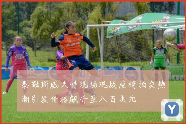 泰勒斯威夫特现场观战座椅拍卖热潮引发价格飙升至八百美元