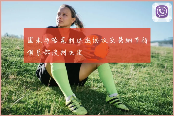 国米与哈莱利达成协议交易细节待俱乐部谈判决定