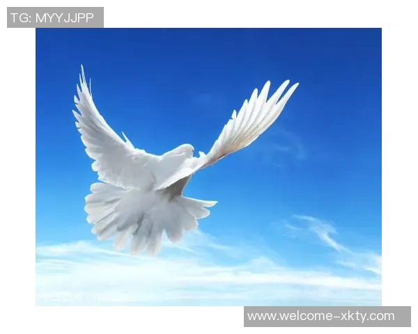 从蒙古寒风中崛起到香港足球梦薪水翻十倍的奋斗故事 从蒙古寒风中崛起到香港足球梦薪水翻十倍的奋斗故事